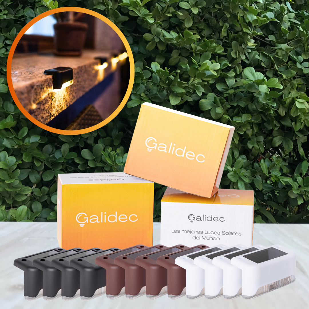Mini Luces LED con carga solar (+ Regalo GRATIS)